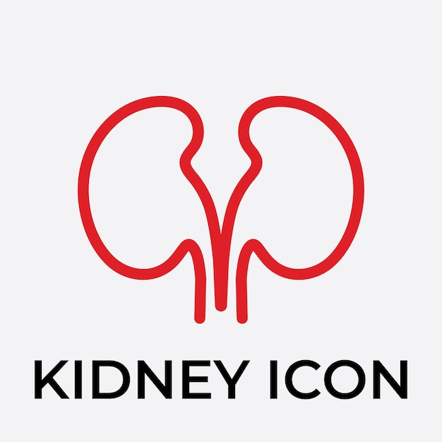 kidney vector illustration design logo template