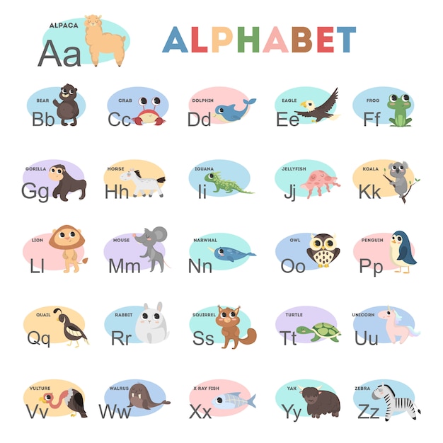 Kids animals alphabet with colorful illustrations. Yak and vulture, bear and rabbit.