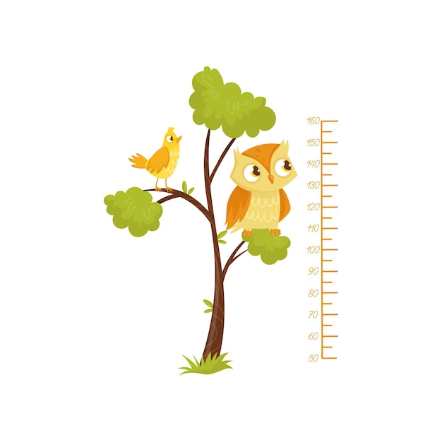 Kids height chart and birds sitting on branches of tree Scale of growth Decorative wall sticker for children room Flat vector design