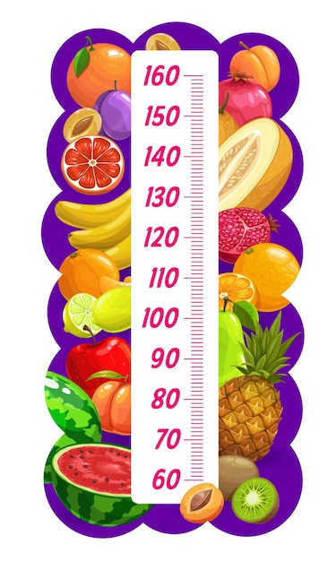 Vector kids height chart cartoon fruits growth meter