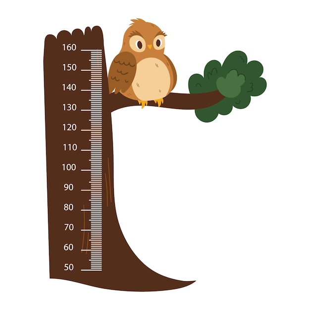 Kids Ruler With Cute Owl Sitting On Tree Height Meter With Funny Forest Bird And Centimeter Scale Growth Chart