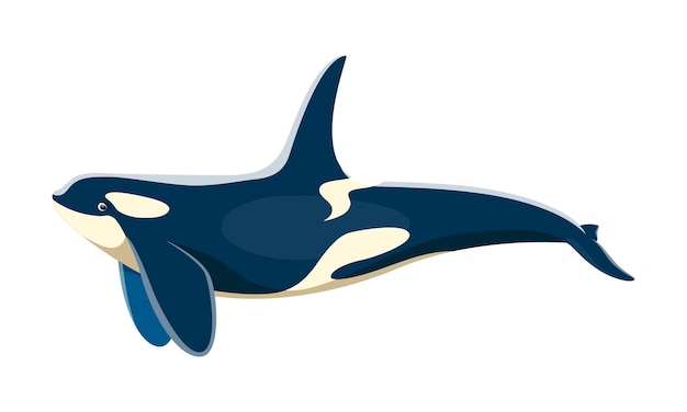 Killer whale animal character cartoon vector orca