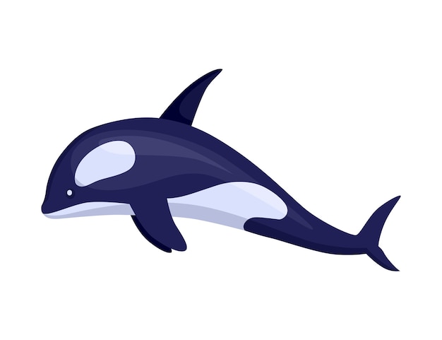 Killer whale - sea and ocean animal. Fauna character in flat cartoon style. Vector cute colorful object isolated on white background