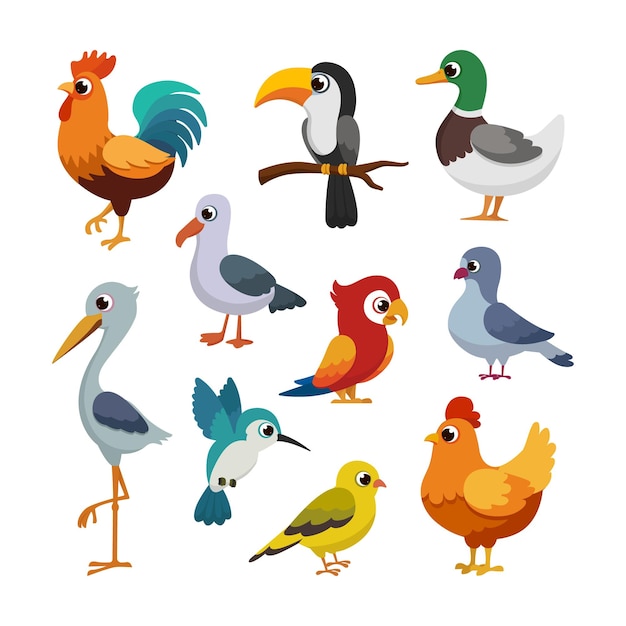 Kind different Bird and Poultry animal for kids education cartoon style