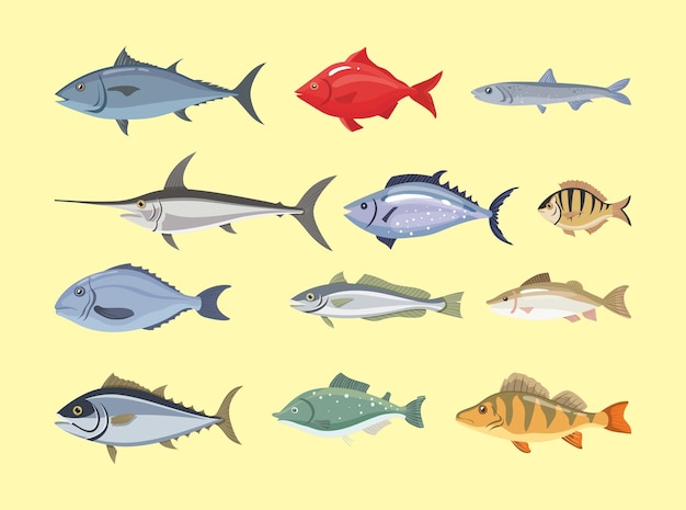 Kinds of fish vector