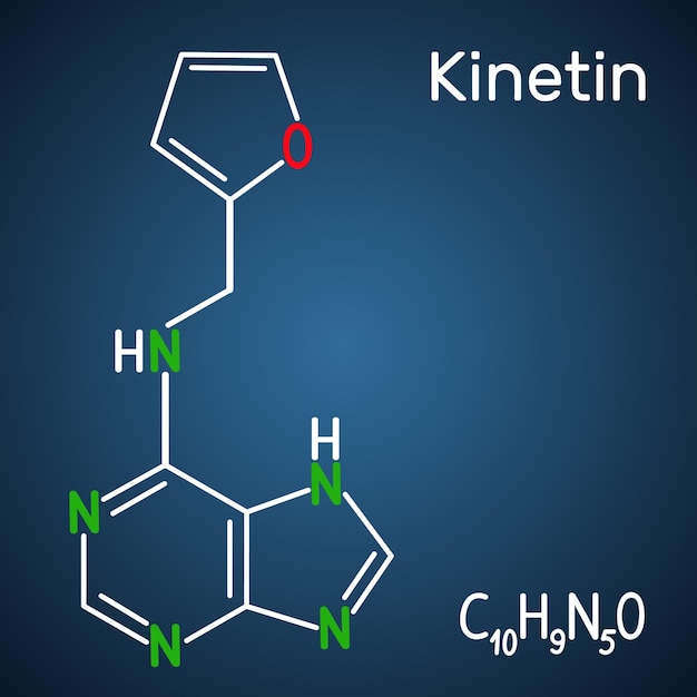 Vector kinetin n6furfuryladenine molecule it is plant hormone