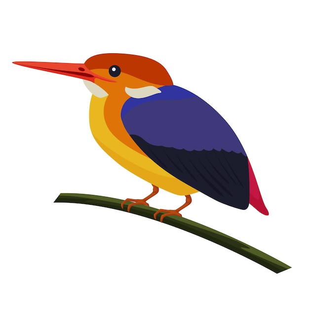 Vector kingfisher bird with blue wings and beak sitting on tree branch