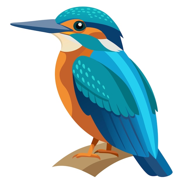 Kingfisher Colorful vector