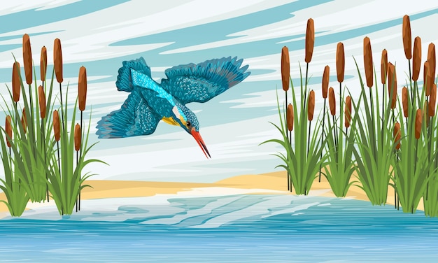 Vector kingfisher hunting near the lake with cattail on the shores coastal vegetation and wild birds