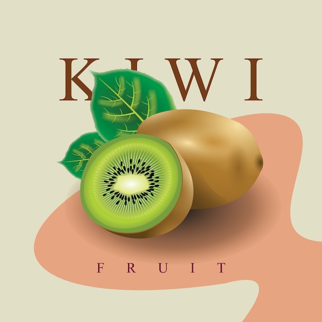 Kiwi fruit realistic illustration  