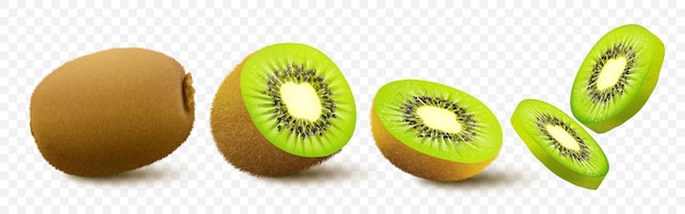 Kiwi fruit. Whole, half and pieces. Sweet fruit. 3d vector icons set. Realistic illustration, isolated on white background.