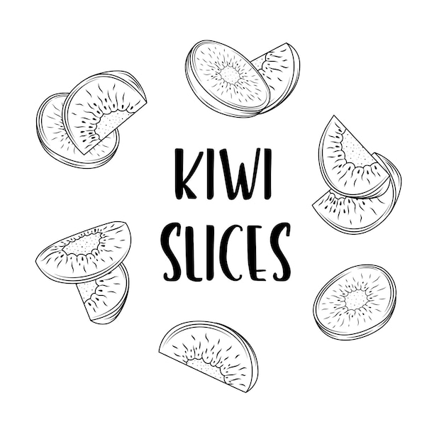 Kiwi hand drawn collection by ink and pen sketch Doodle kiwi fruit Isolated vector design