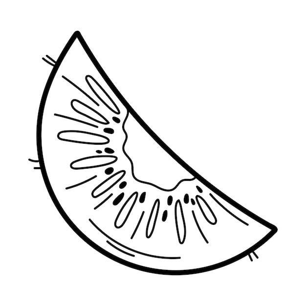 Kiwi hand drawn line icon in doodle style isolated on white background for coloring book