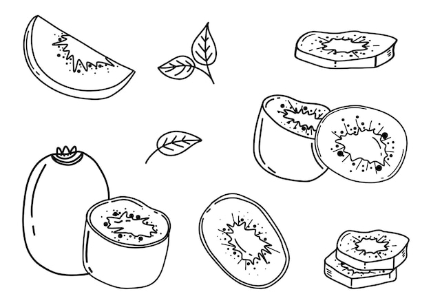 Kiwi hand drawn style set Food eco template for menu kiwi jam and juice label tea banner textile