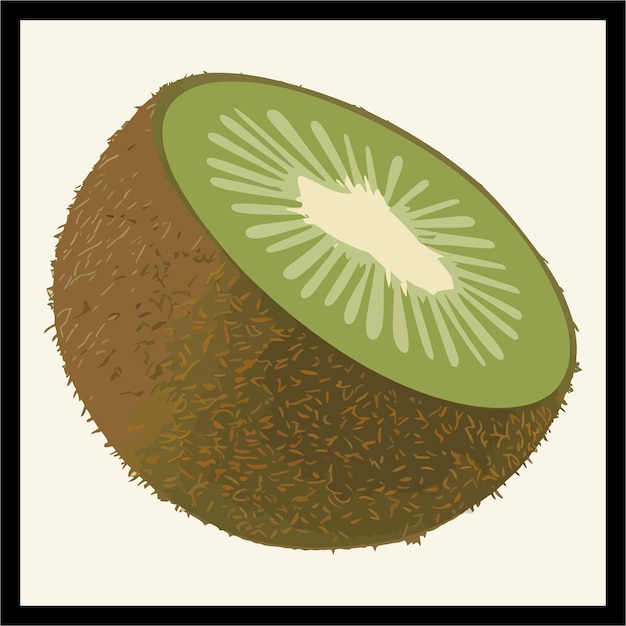 Kiwifruit color vector illustration