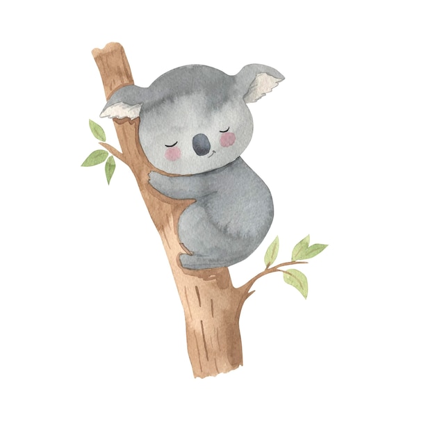 Koala watercolor illustration for kids