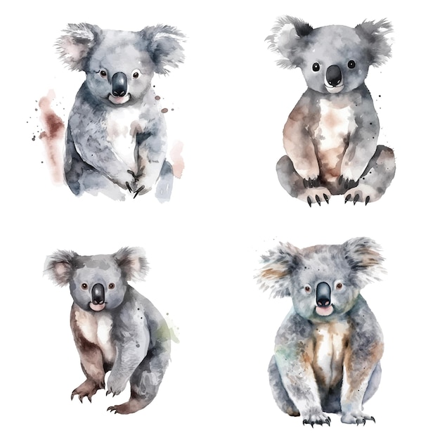 Koala watercolor paint collection