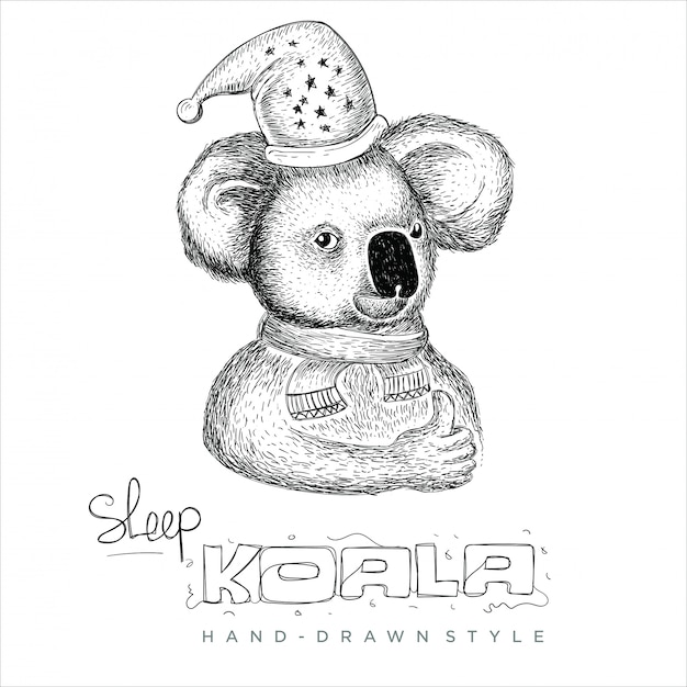 koala wearing hat and scarf. hand drawn animal illustration