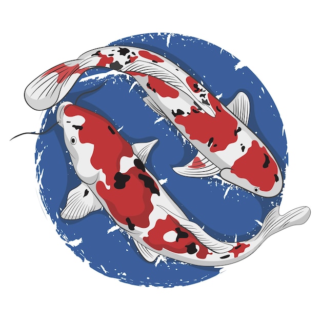 Vector koi are cool swimming in the pond