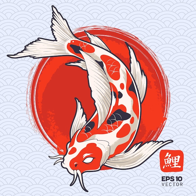 Koi fish on painted red circle. Japanese carp.