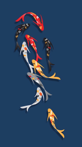 Vector koi fish vector