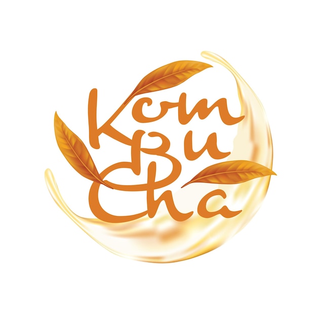 Kombucha Tea Natural Healthy Soft Drink