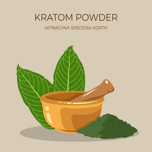 Kratom leaf Mitragyna speciosa with medicine herbal powder and mortar