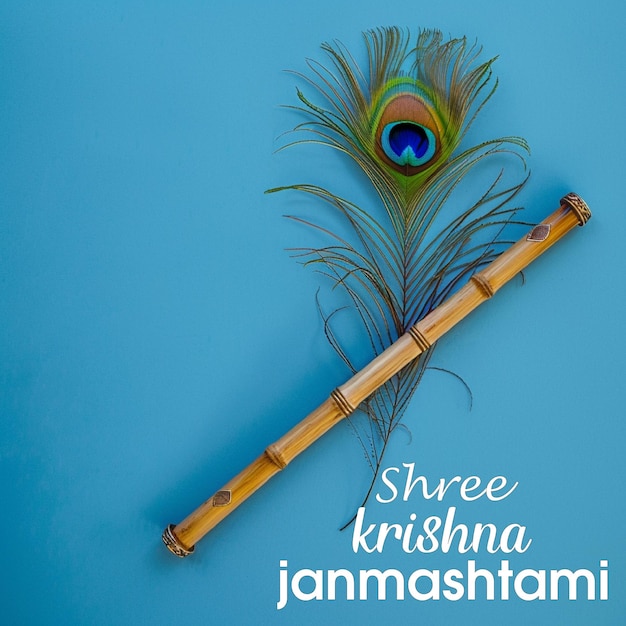 Vector krishna janmashtami