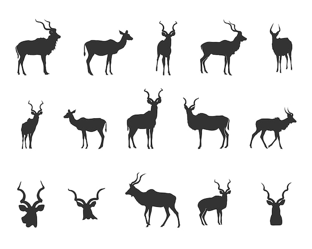 Kudu Silhouette Kudu Horn Silhouette Antlers Silhouette Kudu Head Kudu SVG Kudu Head Silhouettes