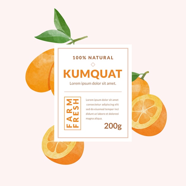 Kumquat fruit packaging design templates watercolour style vector illustration