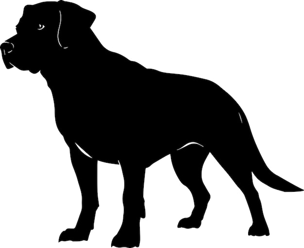 Labrador Dog Vector silhouette Illustration black color