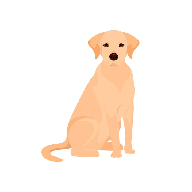 A labrador dog on a white background Cartoon design