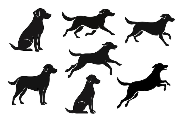 Vector labrador retriever dog collection silhouette black vector on white background