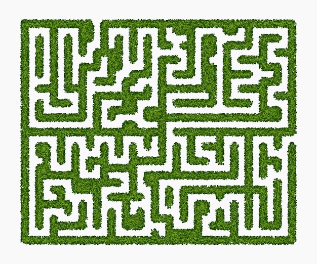 Labyrinth of green hedge on white background