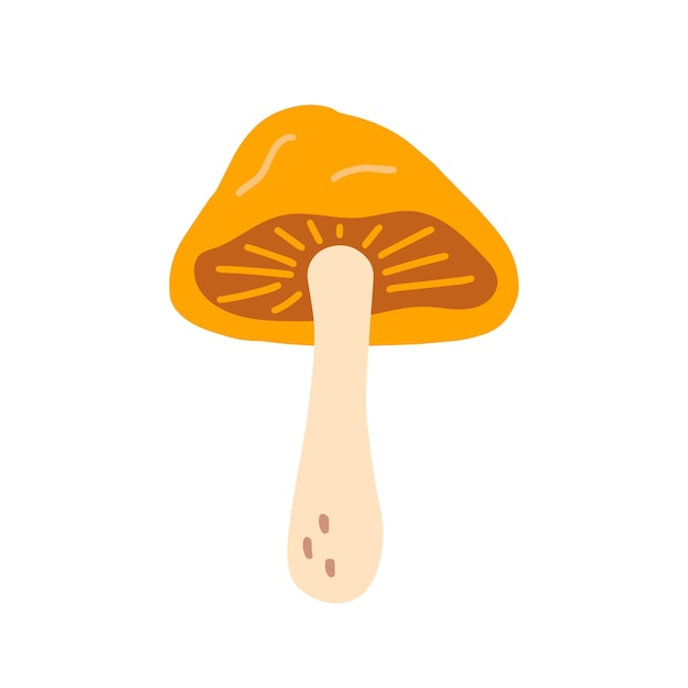 Lactarius mushroom with an orange cap vector flat illustration on white background