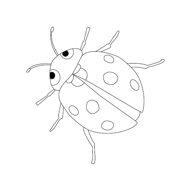 Ladybird coloring page