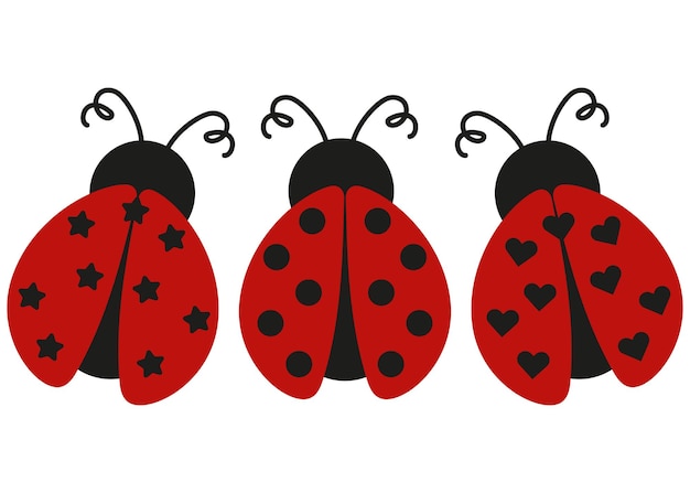 Ladybug cartoon set insect cute illustration isolated on white background