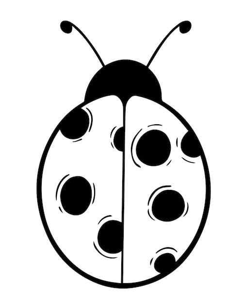 Ladybug insect doodle linear