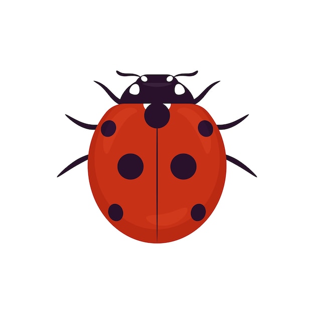 Ladybug ladybird vector icon on a white background