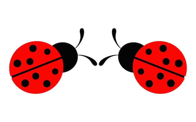 Ladybug painted on a white background