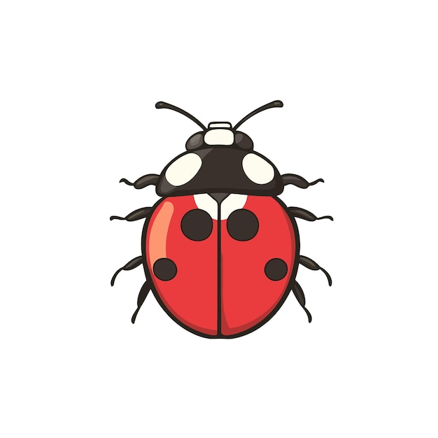 Ladybug vector cute