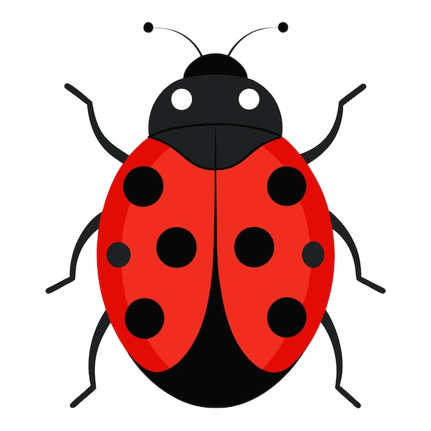 Vector ladybug vector illustration isolated on a white background