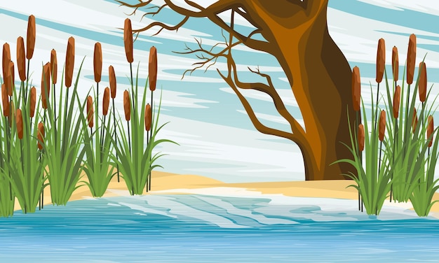 Vector lake shore with reeds and a large old deciduous tree sandy shore of the pond