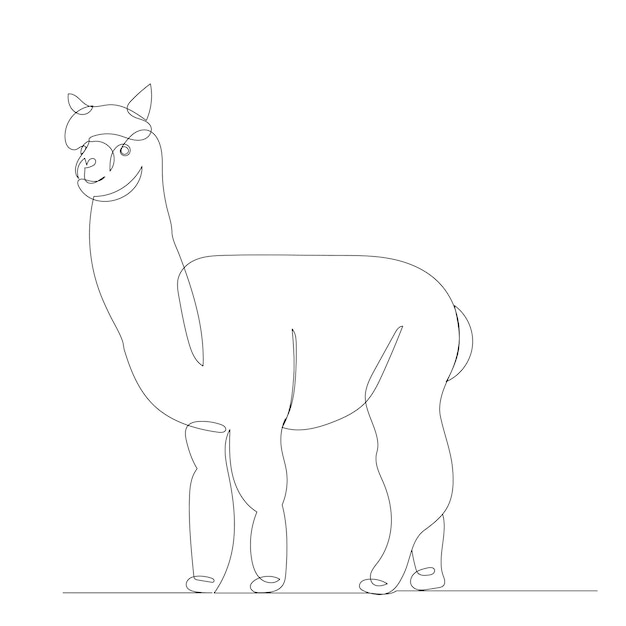 Lama drawing by one continuous line isolated vector