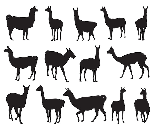 Lama silhouettes