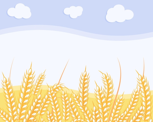 Landscape, ears of wheat, field and sky with clouds. Autumn illustration, postcard, vector