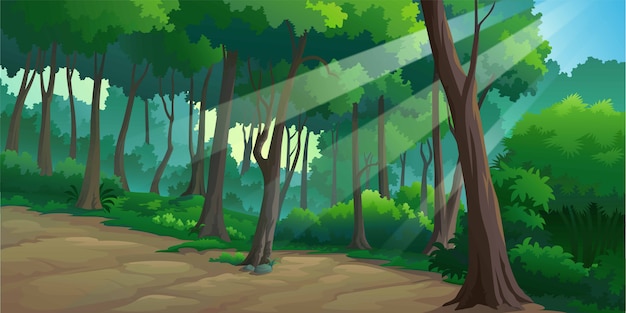 Landscape forest daytime