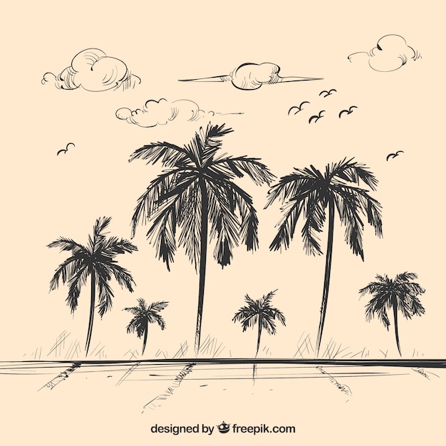 Vector landscape sketch background with palm trees