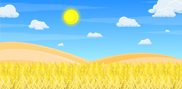 Landscape of wheat field and blue sky Agriculture and farming concept Vector illustration