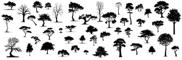 Large collection of trees silhouette with leaves Leaves tree silhouette isolated on white